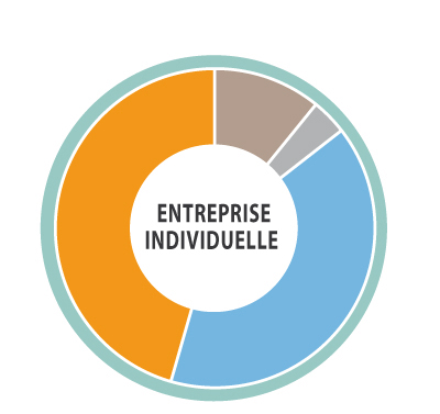 graphique comparaison entreprise individuelle